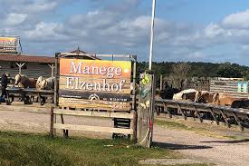 Kustpark Texel Das Ferienhaus Texel Im Kustpark Einzigartigen Lage Auf Der Schonsten Seite Texels