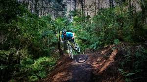 massive northland mountain bike park planned nz herald