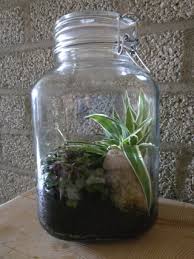 Maybe you would like to learn more about one of these? Do It Your Self Sustaining Ecosystem 6 Steps With Pictures Instructables