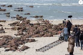 Résultat de recherche d'images pour "dunkerque film"