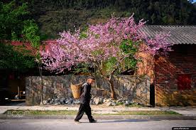 [Image: images?q=tbn:ANd9GcQPzlPcxZ3PYLEKKpcObN3...axY0V0R2&s]