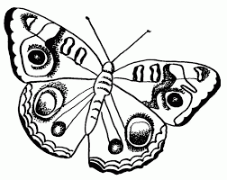 Dinosaur dino22 animals coloring pages cats cat18 animals coloring pages. Monarch Butterfly Pictures To Print Coloring Home