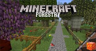 Sep 17, 2021 · forestry mod 1.12.2/1.11.2 is a large minecraft mod which adds new items, machines, and ores to the game, many of which are used in farming. Forestry Mod 1 12 2 1 10 2 1 7 10 Planet Minecraft Mods