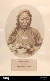 photographic illustrations ...