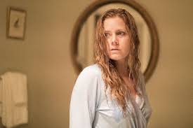 I will literally read anything this man writes. Netflix Hat Starttermin Des Thrillers The Woman In The Window Mit Amy Adams Bekannt Gegeben Moviebreak De