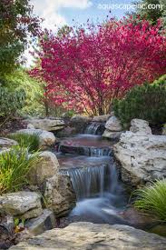 Burning bush shrubs are one of the most striking flowering shrubs with dark green leaves from spring through summer. Fall Landscape Features With A Splash Of Water Town Country Living