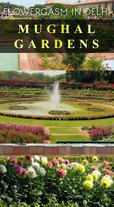 Flowergasm In Delhi Mughal Gardens Trippindian Gardens Of The World Mughal The Colour Of Spring