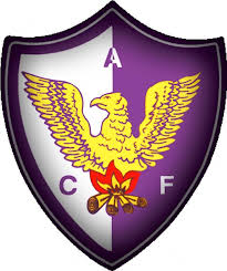 It was founded in 1900, and experts consider it to be one of the most traditional tournaments in south america since it has neve been suspended due to external issues. Centro Atletico Fenix Primera Division Uruguaya Montevideo Uruguay Uruguay Montevideo Futbol Internacional