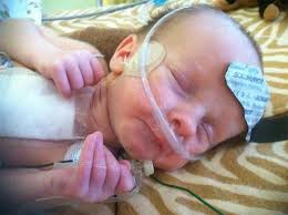 Archive : NorthEscambia.com