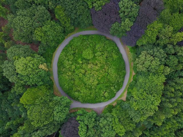 World Nature Conservation Day | All-Ireland Sustainability