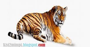 Maybe you would like to learn more about one of these? Mimpi Harimau Menurut Erek Erek 4d 3d 2d