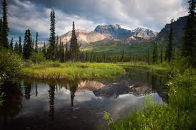 We did not find results for: The Ultimate Guide To Landscape Photography 85 Best Tips