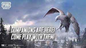 Pubg Mobile 2020 Pet Falcon One Of The Materials For Free Fire Gamers To Make Fun Of Here Are The Details Game News