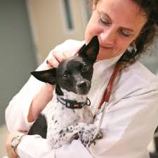 PET EMERGENCY & SPECIALTY CENTER