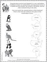 matching animal habitats teachervision