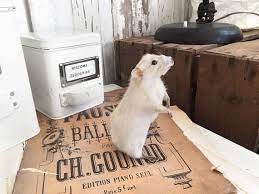 Pin Auf Mobel Mit Geschichte Furniture With A Story