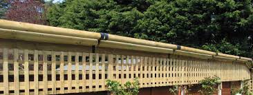 Coyote rollers were devised to prevent coyotes from coming inside your fence and grabbing your small dog or cat. Katzecure Home Keeping Cats Secure With Elegant Cat Proof Fencing