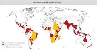 Dengue Fever An Overview Sciencedirect Topics