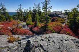 Generally these types of parks have stricter rules on camping. Duck Harbor Mountain Trail Isle Au Haut Hiking Guide Joe S Guide To Acadia National Park