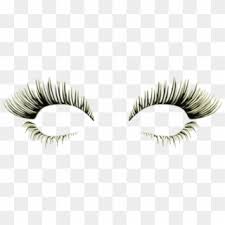 Check spelling or type a new query. Free Eyelash Png Png Transparent Images Pikpng