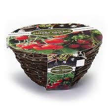 Shop quality beefsteak, cherry, slicing, paste, and heirloom tomato seeds for sale. Tumbling Tom Tomato Seed Diy At B Q