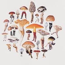 Life Cykel On Instagram Mushroom Citizens Artwork By Amy Ross Via Thefruitingbody Photo Peinture Inspiration Peinture Croquis