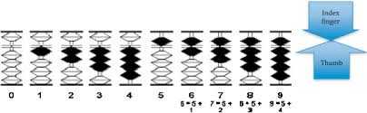 Abacus mind math level 1 workbook 2 of 2: Procedural Complexity Underlies The Efficiency Advantage In Abacus Based Arithmetic Development Sciencedirect