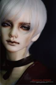 期間限定】Aaron Ver. Wolf Limited｜DOLK（ドルク）