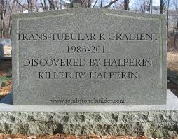 Image result for Transtubular Potassium Gradient