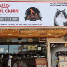 Pet store — boston, found: Top 30 Pet Shops For Dog In Aligarh Best Pet Store Justdial