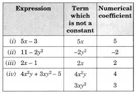 If so, then look no further. Algebraic Expressions Class 7 Extra Questions Maths Chapter 12 Learn Cbse