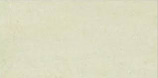 GẠCH TAICERA PC600*298-313N