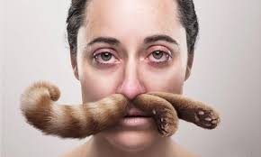 Tavegyl: Half asleep, half awake?