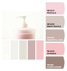 Pin On Hot Jaipur Pink Priscilla Azalea Flower