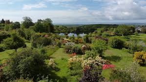 Glenwhan Gardens Arboretum Tearoom Dunragit Galloway Scotland Uk Bucket List Scotland Places To Go