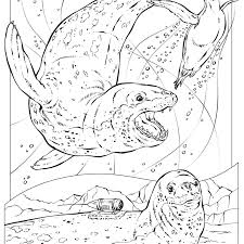 Coloring Book Animals J To Z