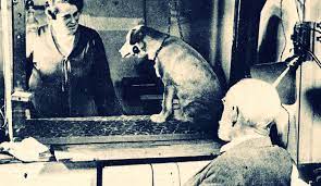パブロフの犬〜条件反射の実験と人間の条件付け