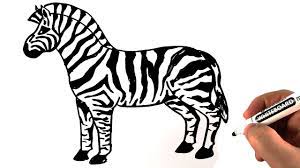 How to draw zebra step by step? How To Draw A Zebra Easy Drawing On A Whiteboard Youtube