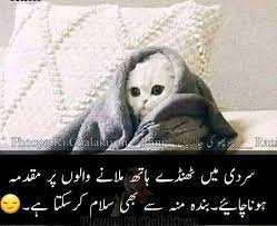 Bilkul Sahi Kaha Fun Quotes Funny Cute Funny Quotes Cute Jokes