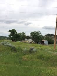 Roundup Rentals