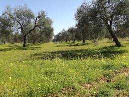 Check spelling or type a new query. Elia Ex8roi Kai As8eneies Ths Epoxhs In Gr