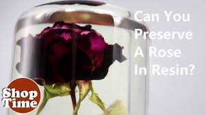 How do you preserve flowers in epoxy resin. Can You Preserve A Rose In Resin Dipit 24 Youtube