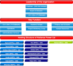 Reliance Communication Organisational Structure College