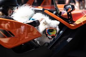 Year in review: Our favorite photos from 2024 in West Linn