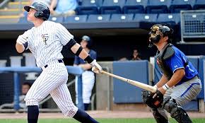 22 For A Staten Island Yankees Game Package At Richmond County Bank Ballpark 61 60 Value 20 Games Available