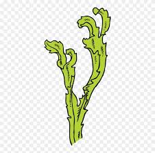 Seaweed Kelp Algae Seagrass Seaweed Clip Art Free Transparent Png Clipart Images Download Seaweed icons png, svg, eps, ico, icns and icon fonts are available. seaweed kelp algae seagrass seaweed
