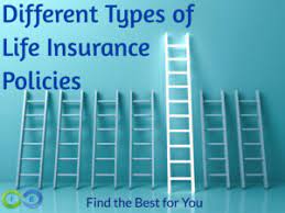 The 6 best general liability insurance companies for small businesses. Top 10 Different Types Of Life Insurance Policies The Definitive Guide 2020 Update