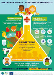 Health And Environment Alliance 10 Ways To Protect Our Health And The Environment
