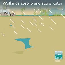 The 2020 edition of the world water development report (wwdr 2020) entitled 'water and climate change' will be launched on world water day, 22 march 2020. World Wetlands Day February 2 2020 Globalwaters Org