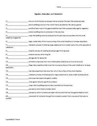 Digestion Absorption And Metabolism Worksheet For Nutrition Students Strawberry Nutrition Facts Nutrition Nutrition Science